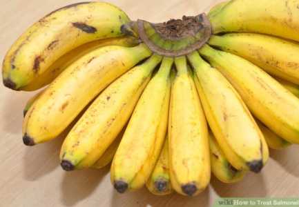 Semundjet e zorreve, koliti dhe salmonela. Ja nga se shkaktohen