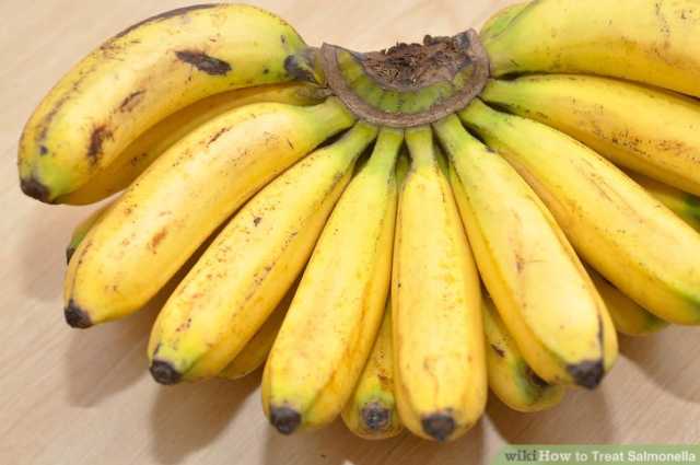 Semundjet e zorreve, koliti dhe salmonela. Ja nga se shkaktohen