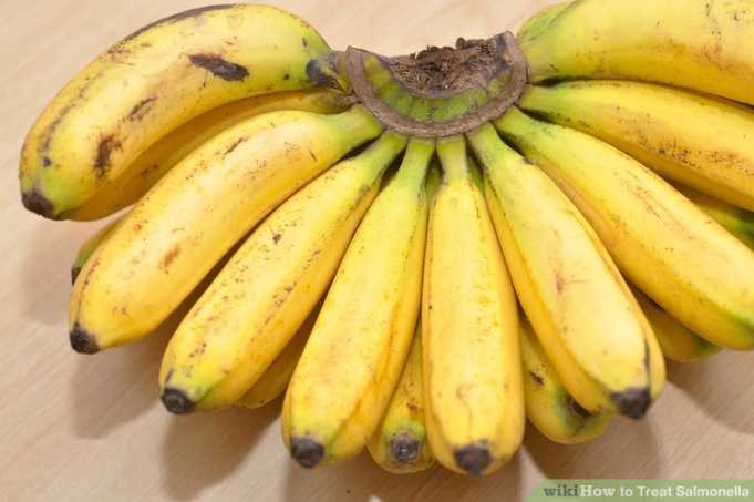 Semundjet e zorreve, koliti dhe salmonela. Ja nga se shkaktohen