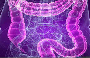 Si te shmangni semundjet e zorreve. Koliti, kapslleku dhe diarreja