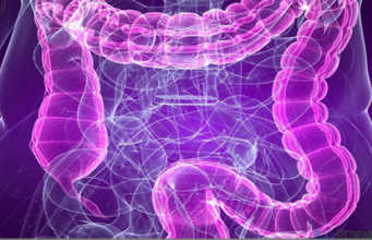 Si te shmangni semundjet e zorreve. Koliti, kapslleku dhe diarreja