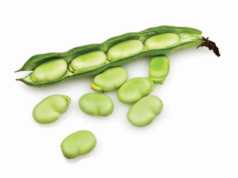 Mjeket apel: Mos konsumoni bathe, rrezikoni jeten