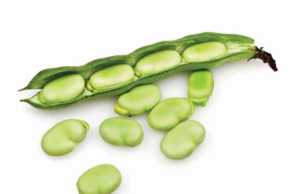 Mjeket apel: Mos konsumoni bathe, rrezikoni jeten