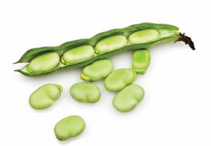 Mjeket apel: Mos konsumoni bathe, rrezikoni jeten