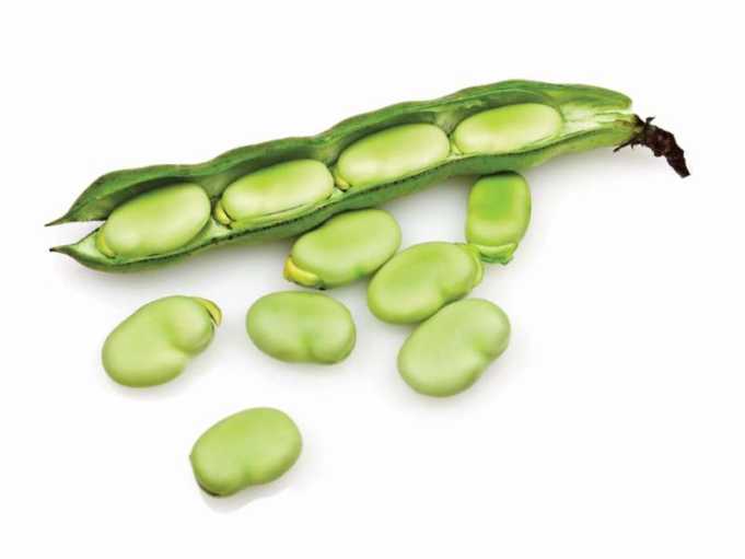 Mjeket apel: Mos konsumoni bathe, rrezikoni jeten