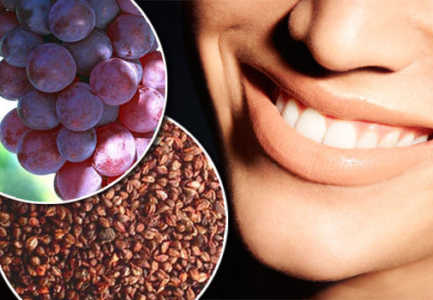 Fara rrushi per dhembe me te forte