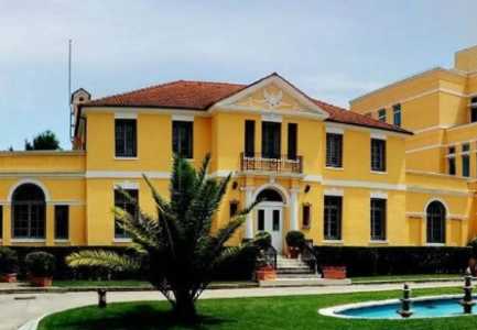 Ambasada e SHBA, video-mesazh për të rinjtë: Mos votoni me inat