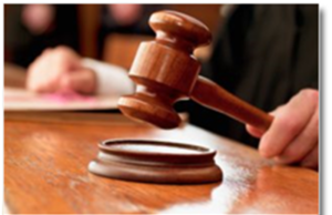 Pagat dhe privilegjet e anëtarëve të organeve të Vettingut