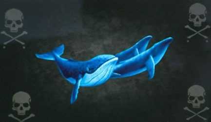 Balena Blu, zbulohet fakti tronditës në Gjirokastër