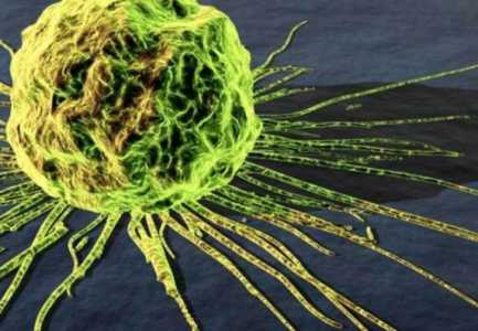 Modifikohet virusi që lufton kancerin