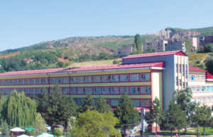 Peshkopi, 100 persona te helmuar nga embelsirat