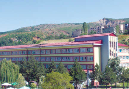 Peshkopi, 100 persona te helmuar nga embelsirat