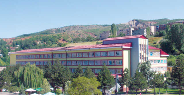 Peshkopi, 100 persona te helmuar nga embelsirat