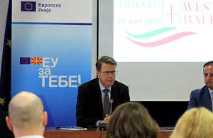 Samiti i Triestes, mundesi bashkepunimi rajonal