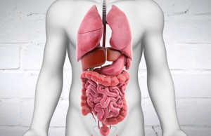 Ushqimet qe ndihmojne problemet me tretjen