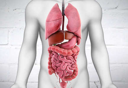 Ushqimet qe ndihmojne problemet me tretjen