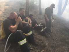 Shqipëria në “flakë”, shkak temperaturat e larta