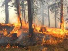 10 vatra zjarri në 24 orët e fundit në Shqipëri