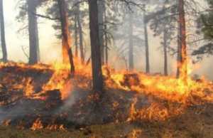 10 vatra zjarri në 24 orët e fundit në Shqipëri