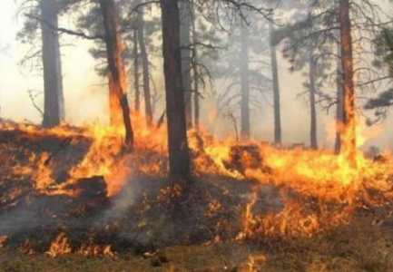 10 vatra zjarri në 24 orët e fundit në Shqipëri