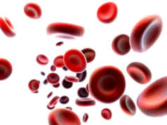 Lajme të këqija për personat që kanë grup gjaku A, B ose AB