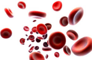 Lajme të këqija për personat që kanë grup gjaku A, B ose AB