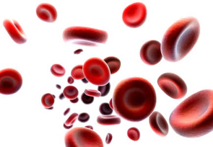 Lajme të këqija për personat që kanë grup gjaku A, B ose AB