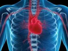 Ҫfarë i shkakton organizmit mungesa e hekurit!