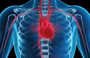 Ҫfarë i shkakton organizmit mungesa e hekurit!