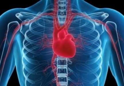 Ҫfarë i shkakton organizmit mungesa e hekurit!