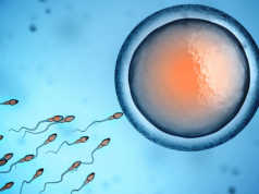 Pse po ulet aftesia riprodhuese te meshkujt