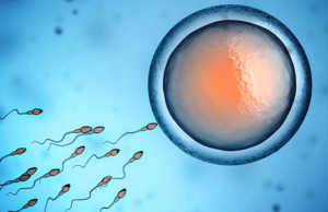 Pse po ulet aftesia riprodhuese te meshkujt