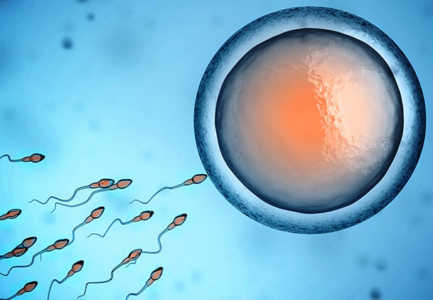 Pse po ulet aftesia riprodhuese te meshkujt