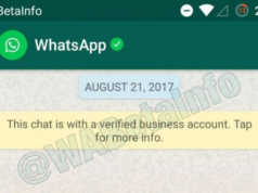 WhatsApp, llogari te verifikuara per bizneset