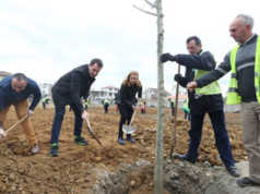 “Pylli orbital”, dy peme per nje makine