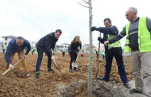 “Pylli orbital”, dy peme per nje makine