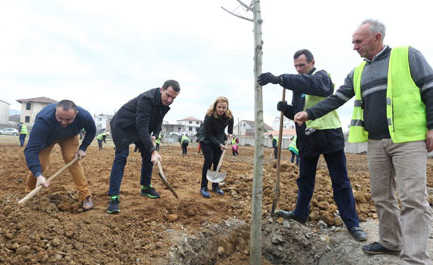 “Pylli orbital”, dy peme per nje makine