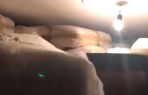 Aksioni per arrestimin e Florian Habilaj, policia gjen 10 ton kanabis