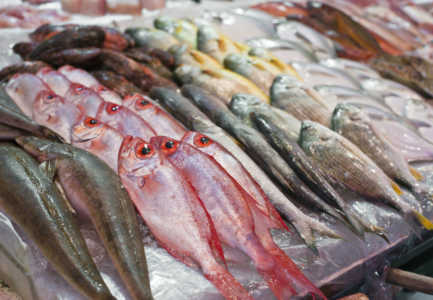 Kuotat e perpunimit te peshkut, Shqiperia tejkalon normen